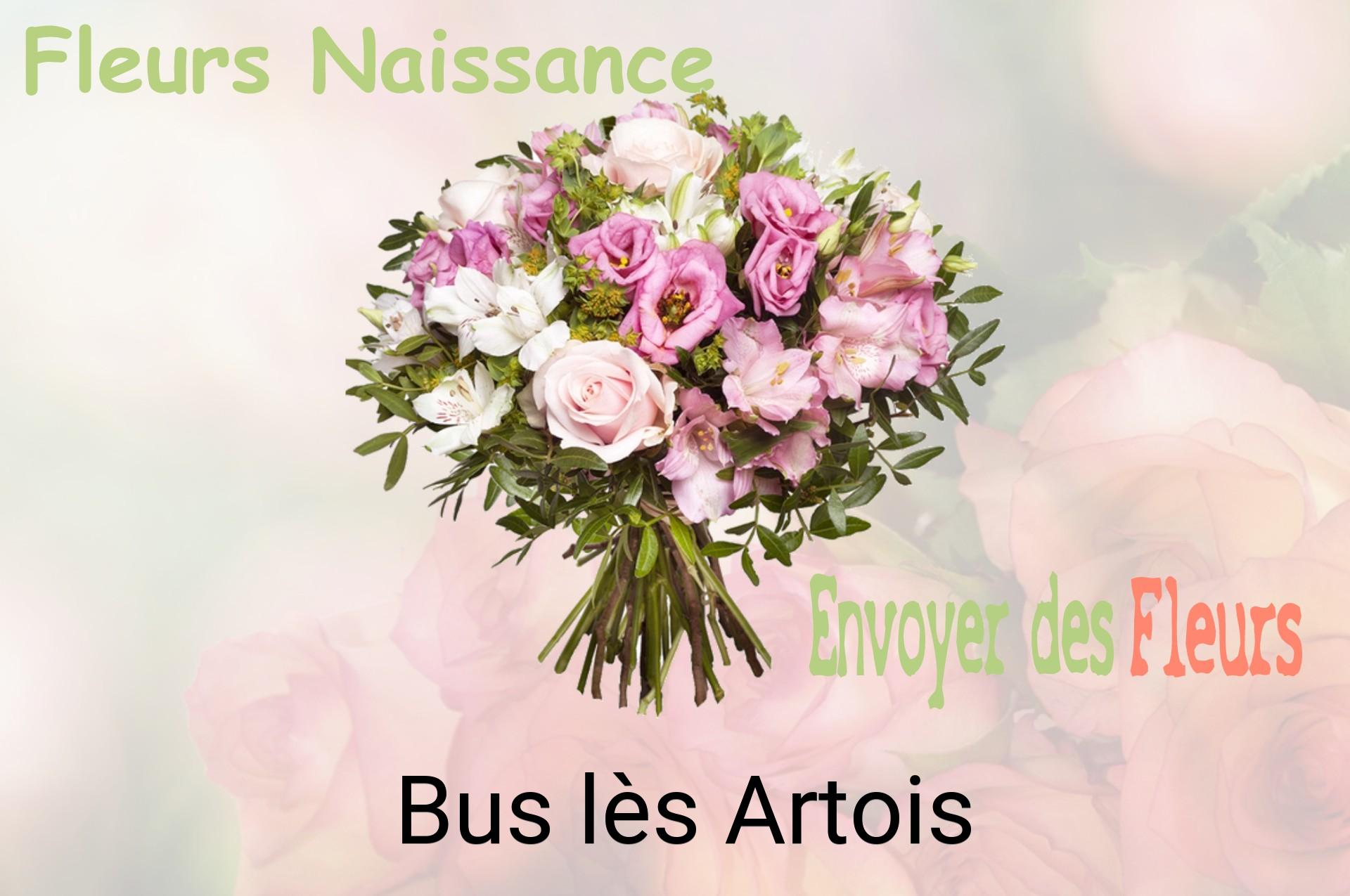Bouquet de fleurs de naissance livré à Bus-lès-Artois